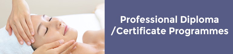 Professional Diploma/Certificate Programmes